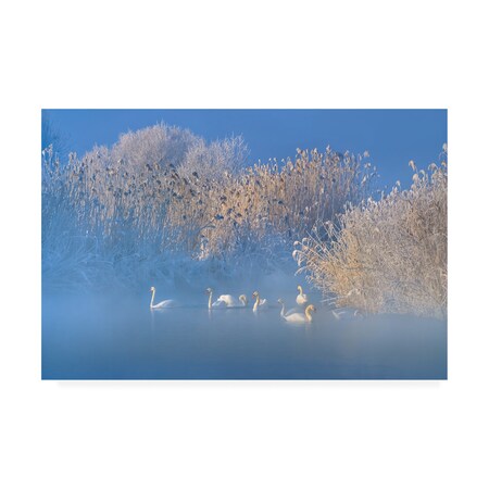 Trademark Fine Art Hua Zhu 'Blue Swan Lake' Canvas Art, 30x47 1X09628-C3047GG